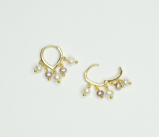 Duo Pearl Color Earring