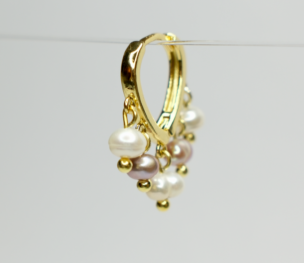 Duo Pearl Color Earring